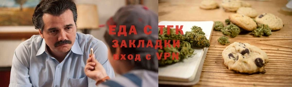 гидра Бородино