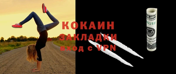 гидра Бородино