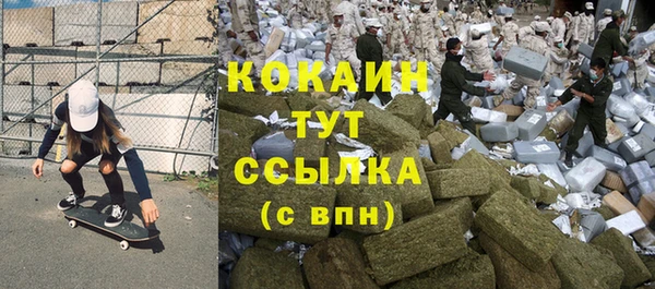 гидра Бородино