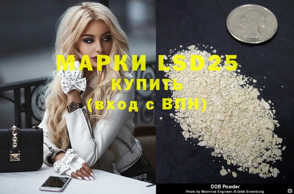 гидра Бородино
