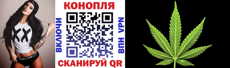 Купить где  Красноармейск  Бошки Шишки гибрид 
